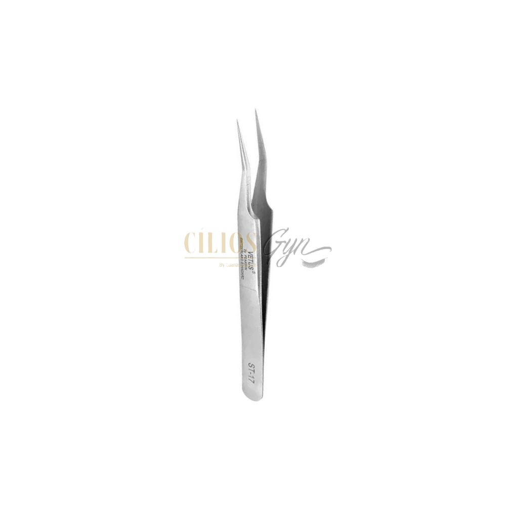 PINCA VETUS ST17